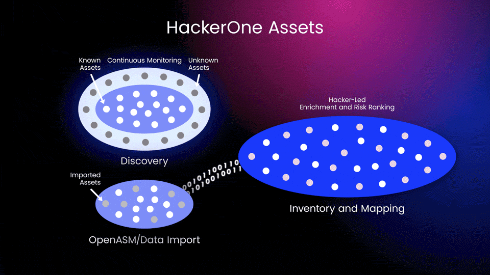 HackerOne Assets - Platform Animated Introduction and Workflow