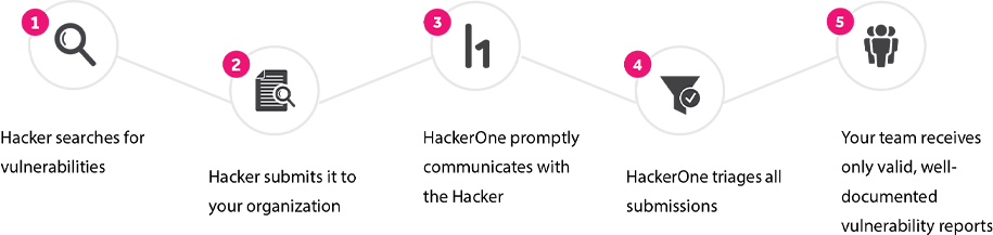 The Beginner's Guide to Bug Bounty Programs | HackerOne