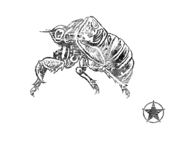 First Bug Badge 