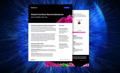 Attack Surface Reconnaissance Solution Brief