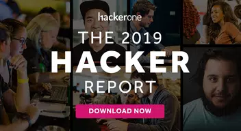 The 2019 Hacker Report 