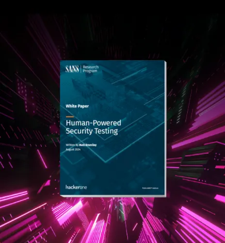 SANS Human-Powered Security Testing